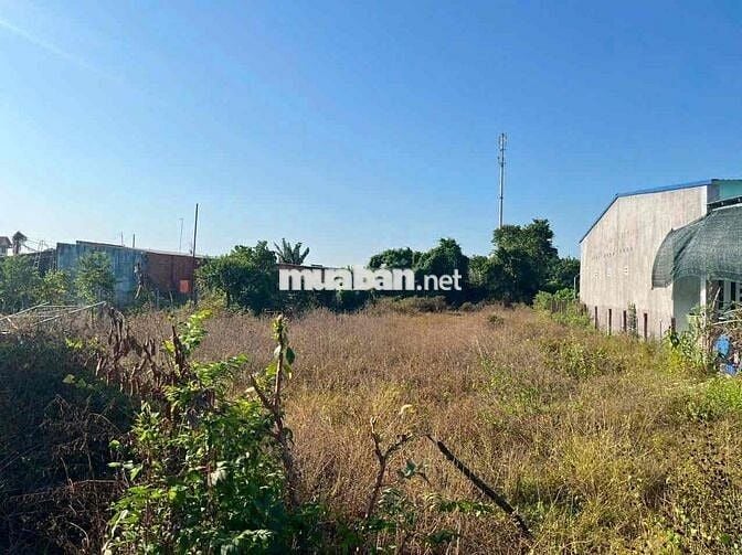 🌿🌿 BÁN LÔ ĐẤT VƯỜN MẶT TIỀN ĐƯỜNG 6 – XÃ THÁI MỸ, HUYỆN CỦ CHI