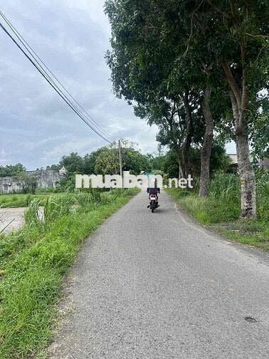 🌿 BÁN NHANH ĐẤT VƯỜN 1200m2-GIÁ 1tỷ2 - XÃ THÁI MỸ, CỦ CHI 🌿