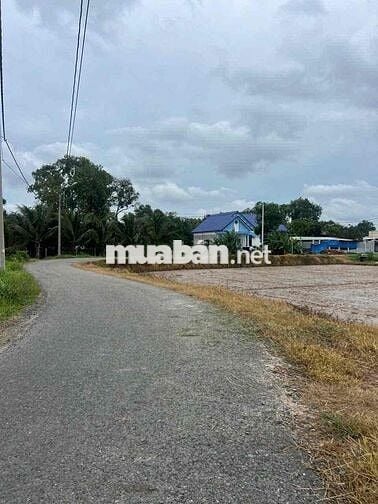 🌿 BÁN NHANH ĐẤT VƯỜN 1200m2-GIÁ 1tỷ2 - XÃ THÁI MỸ, CỦ CHI 🌿