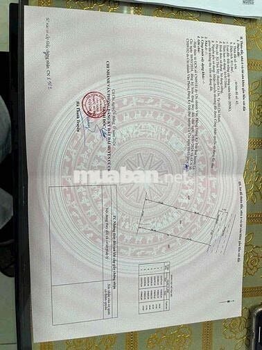 🌿🌿 BÁN LÔ ĐẤT VƯỜN MẶT TIỀN ĐƯỜNG 6 – XÃ THÁI MỸ, HUYỆN CỦ CHI