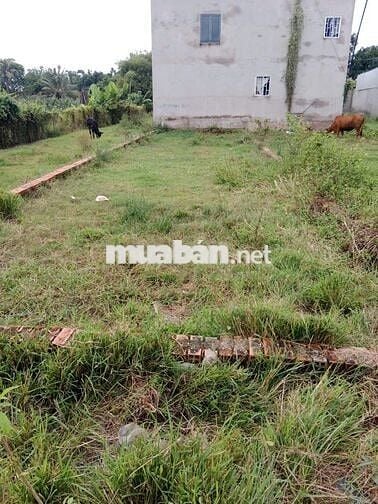 Kẹt tiền Bán Gấp Lô Đất 110m2 giá 440tr ở Tân Thông Hội Củ Chi