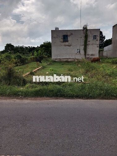 Kẹt tiền Bán Gấp Lô Đất 110m2 giá 440tr ở Tân Thông Hội Củ Chi