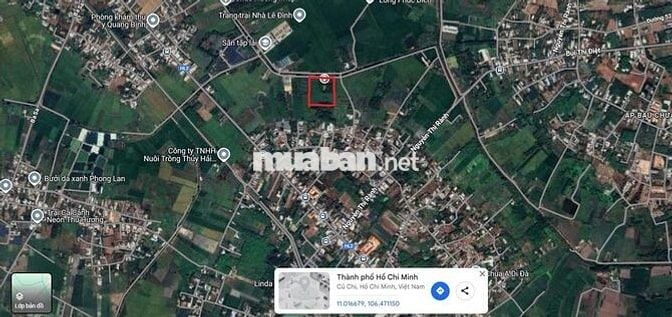7000m2 đất trồng cây lâu năm mặt tiền đường bờ kênh
