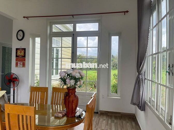 Homestay nhà vườn 7317,6m² full cây ăn trái, gần chợ Lộc Thành Bảo Lâm