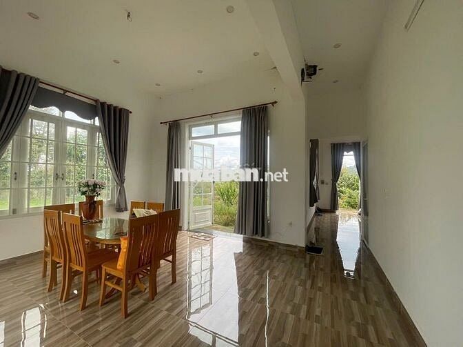 Homestay nhà vườn 7317,6m² full cây ăn trái, gần chợ Lộc Thành Bảo Lâm