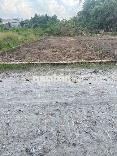 Chủ ngộp cần bán gấp lô đất ở Lê Thị Dệt gần QL22 & BV Đa khoa Củ Chi