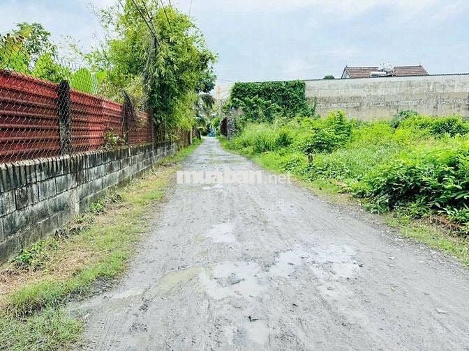 Chủ ngộp cần bán gấp lô đất ở Lê Thị Dệt gần QL22 & BV Đa khoa Củ Chi