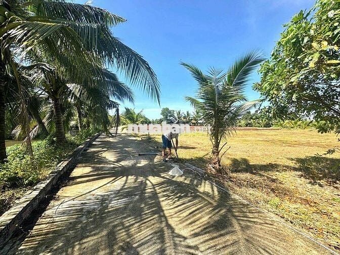 🌳 BÁN 2 LÔ ĐẤT VƯỜN 700M² CHỈ 850 TRIỆU/LÔ – NGAY CHỢ TRẢNG BÀNG, TÂY