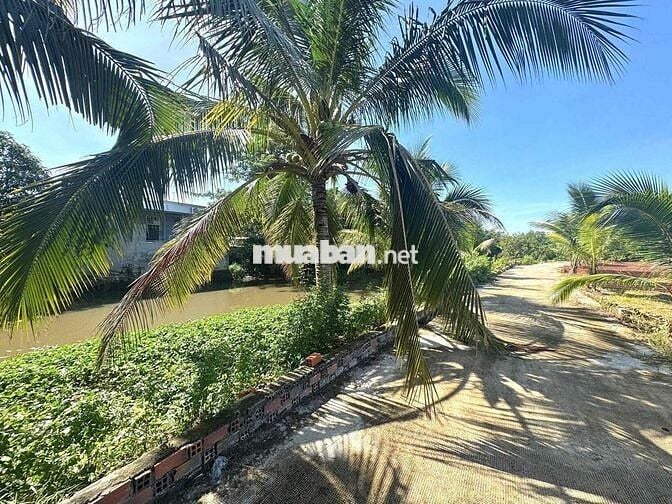 🌳 BÁN 2 LÔ ĐẤT VƯỜN 700M² CHỈ 850 TRIỆU/LÔ – NGAY CHỢ TRẢNG BÀNG, TÂY