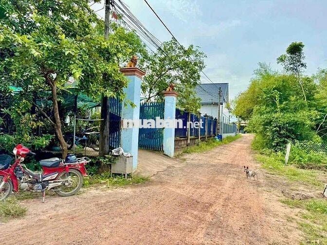 Đất thổ cư 194,8m² giá chỉ 680 triệu – Cầu Xe, Trảng Bàng, Tây Ninh!