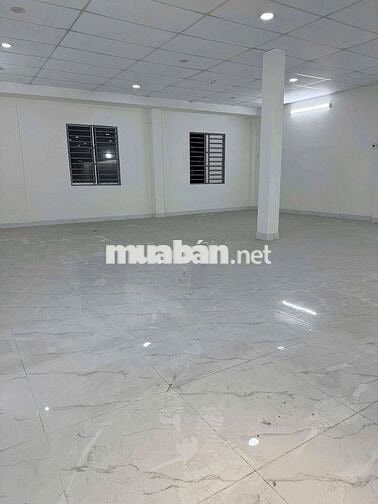 CHO THUÊ MB ĐƯỜNG LÊ TRỌNG TẤN DT 8*20 TRỆT + LỮNG VỊ TRÍ TỐT