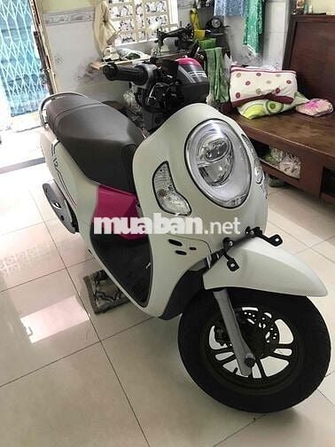 Honda Scoopy 2024