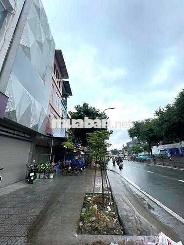 Cho Thuê Nhà Đường Lý Thường Kiệt, Quận 11 ( KINH DOANH TỰ DO )