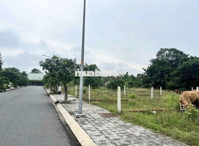 Bán lô đất Đ.Cây Trôm Mỹ Khánh, Phước Hiệp, DT 105m2 giá 900tr, SHR