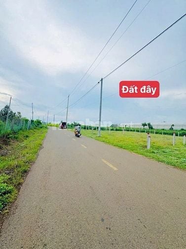 Mảnh đất 5000m² gần Hồ Bà Tô – Xuyên Mộc chỉ 45 tỷ thương lượng