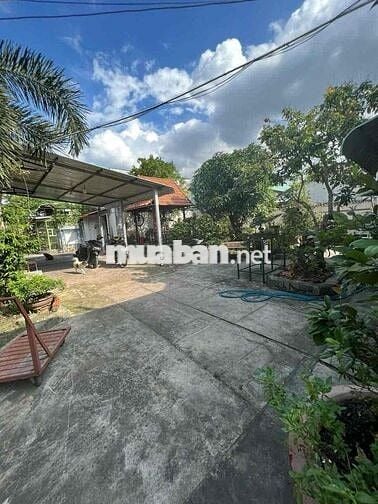 Đất Mặt Tiền Đường Hưng Định 31, P Hưng Định, Tp Thuận An.