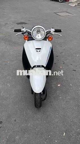 Xe Honda Today 50cc HQCN - Sang Tên