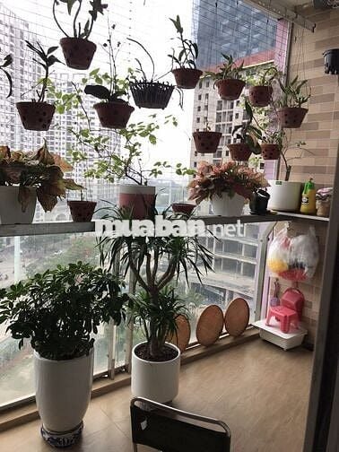 Bán nhanh chung cư Xa La, Hà Đông, 84m2, 3 phòng ngủ, 2 vệ sinh