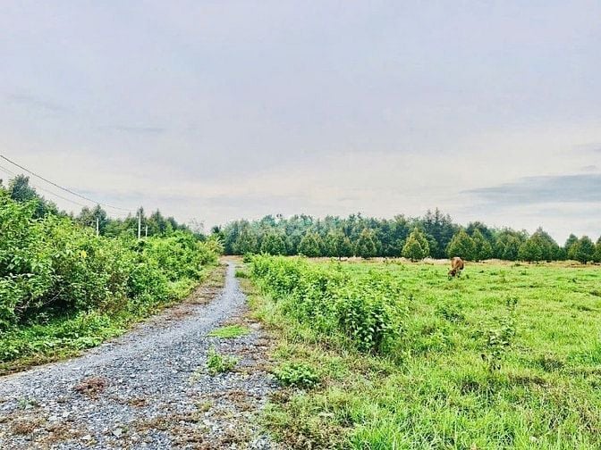 Hơn 1000m2 đường thông. Ngay KCN Phước Đông. 850tr