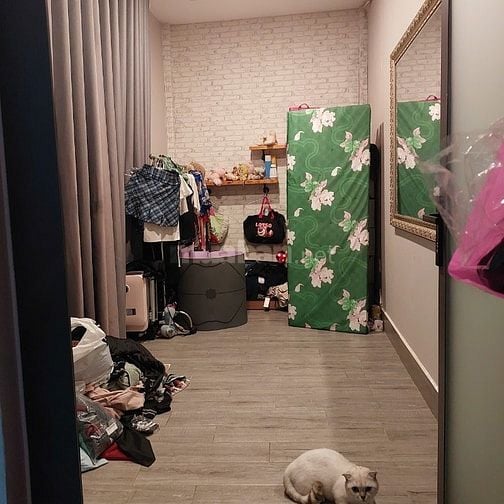 GÀ ĐẺ TRỨNG VÀNG - MẶT TIỀN ĐƯỜNG SỐ P. TÂN QUY QUẬN 7