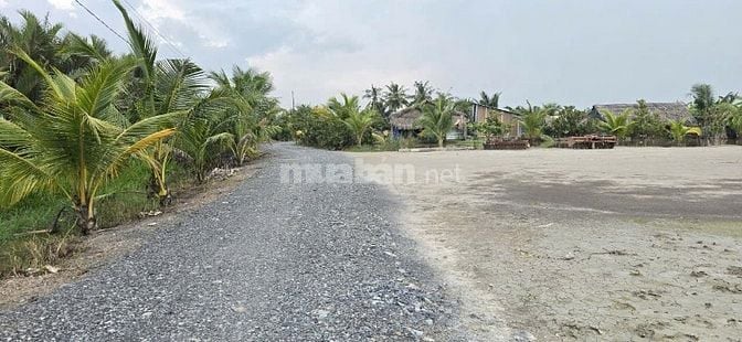 Ngộp bán gấp đất THỔ nhà vườn Phú Hữu, Phú Đông Nhơn Trạch,giá rẻ,SHR