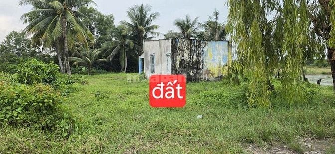 Ngộp bán gấp đất THỔ nhà vườn Phú Hữu, Phú Đông Nhơn Trạch,giá rẻ,SHR