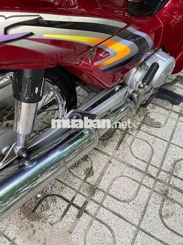 Honda Wave Alpha 203 .máy đẹp máy ngon