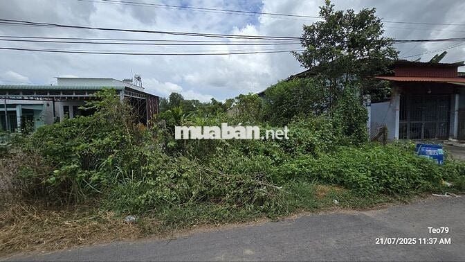 Chính Chủ Cần Bán Đất Ở Nông Thôn 267m2 Giá 3,6 Tỷ Tại xã Củ Chi