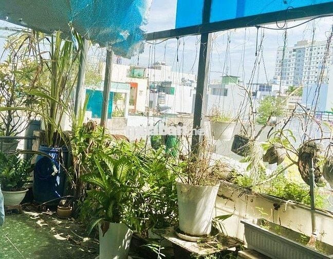 43m2 HXH Phú Thọ Hoà, sổ vuông nở hậu, chỉ 100 triệu/m2