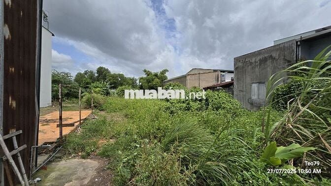 Chính Chủ Cần Bán Đất Ở Nông Thôn 267m2 Giá 3,6 Tỷ Tại xã Củ Chi