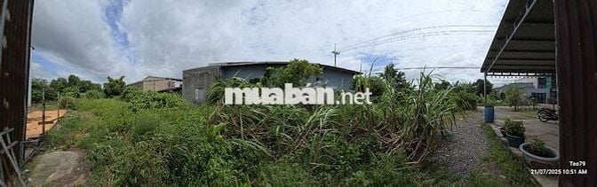 Chính Chủ Cần Bán Đất Ở Nông Thôn 267m2 Giá 3,6 Tỷ Tại xã Củ Chi