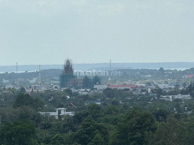 Đất vườn trái cây view Quốc Lộ 20 - gần sân bay quốc tế Long Thành 