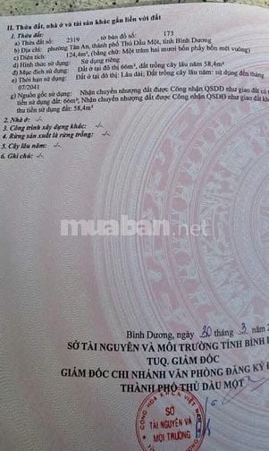 🌟 BÁN ĐẤT ĐẸP GIÁ RẺ TẠI PHƯỜNG TÂN AN – TRUNG TÂM TP. THỦ DẦU MỘT