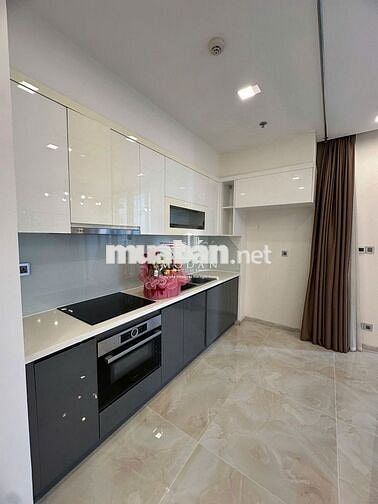 Vinhomes Golden River Quận 1 60m2 giá 25 triệu *** hiện tại