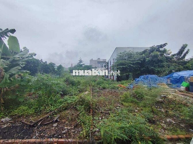 BÁN ĐẤT Q12 - XE TẢI NGŨ TRONG ĐẤT - DT KHỦNG - GIÁ CỰC RẺ