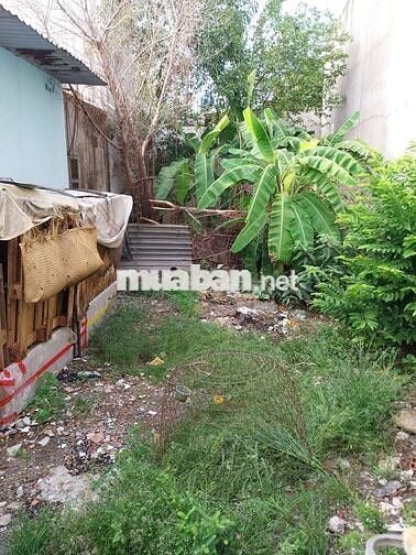 🌹🌹 100m2 ĐẤT THỔ CƯ, TÂN KIÊN, BÌNH CHÁNH