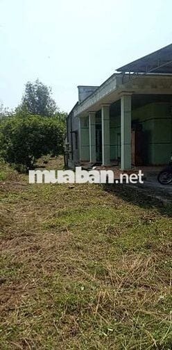 Nhà cấp bốn, xã Định Hiệp, huyện Dầu Tiếng, diện tích 778m2, có thổ cư