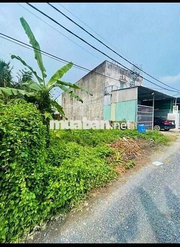 Đất Ngộp Giá Rẻ 850tr - 105m2 Đường Cây Trôm Mỹ Khánh , Sổ Hồng Riêng