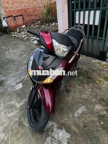 Honda Dylan 150 up áo sh ý. lên đĩa sau