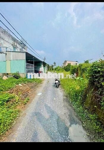 Đất Ngộp Giá Rẻ 850tr - 105m2 Đường Cây Trôm Mỹ Khánh , Sổ Hồng Riêng