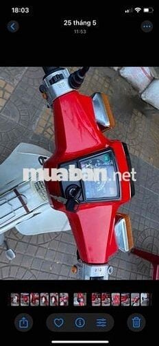 xe custom 50 hàn quốc halim