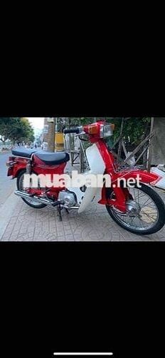 xe custom 50 hàn quốc halim