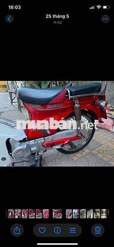 xe custom 50 hàn quốc halim