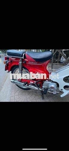 xe custom 50 hàn quốc halim