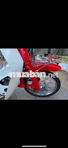 xe custom 50 hàn quốc halim