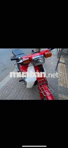 xe custom 50 hàn quốc halim