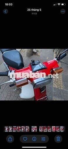 xe custom 50 hàn quốc halim