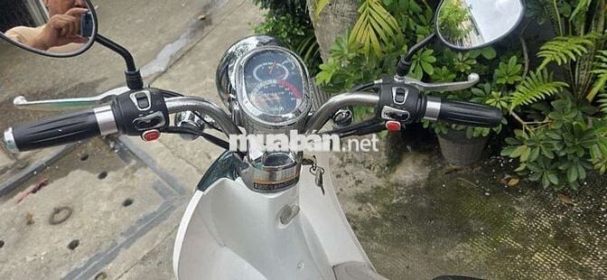 Xe tay ga Crea Scoopy 50cc màu xanh trắng