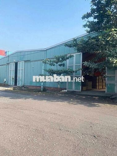 Cho thuê 2 kho 850m2 - 1.650m2 Phạm Thế Hiển, Quận 8, giá tốt ,kho cao