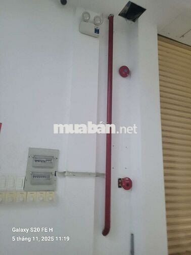 💢Xưởng cho thuê DT 1200m Đường xe COTENR